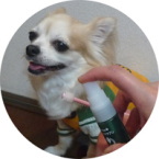 �n�~�K�L�T�v���@�g����