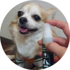 �n�~�K�L�T�v���@�g����